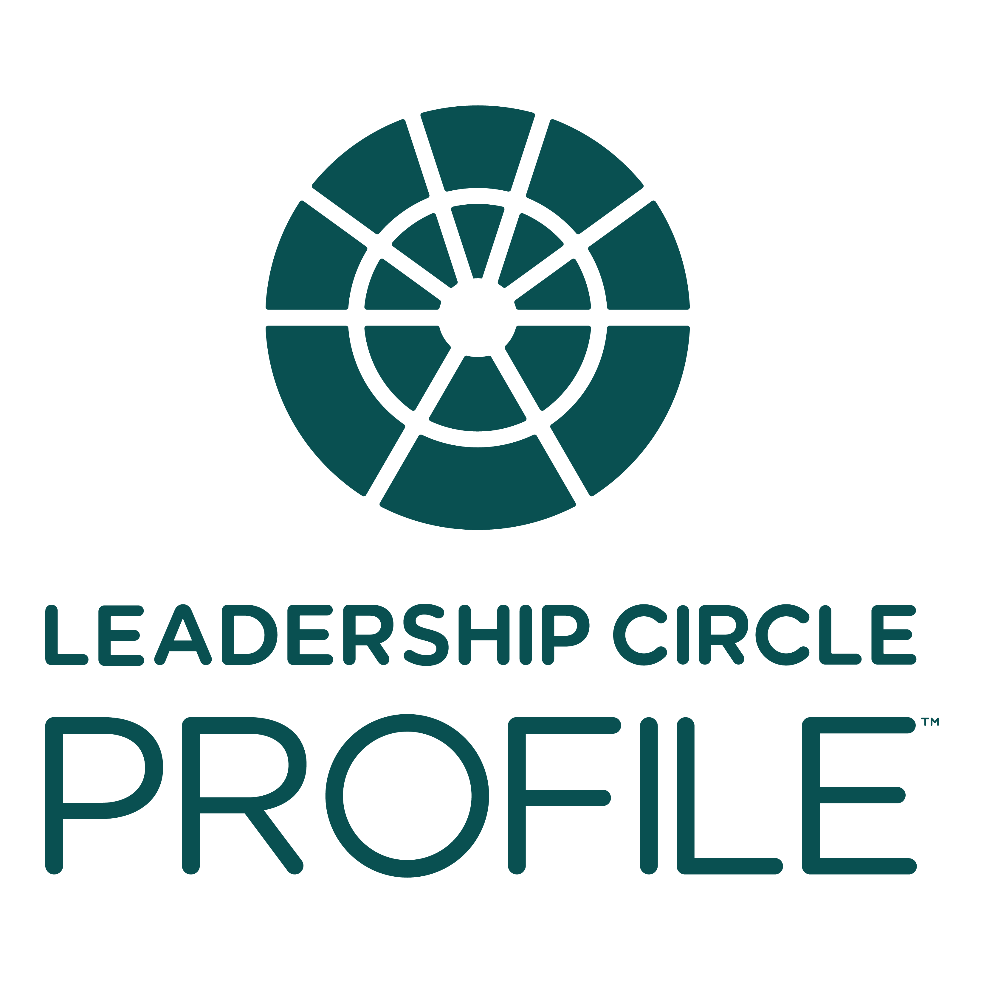 Leadership Circle Profile 360° Assessment