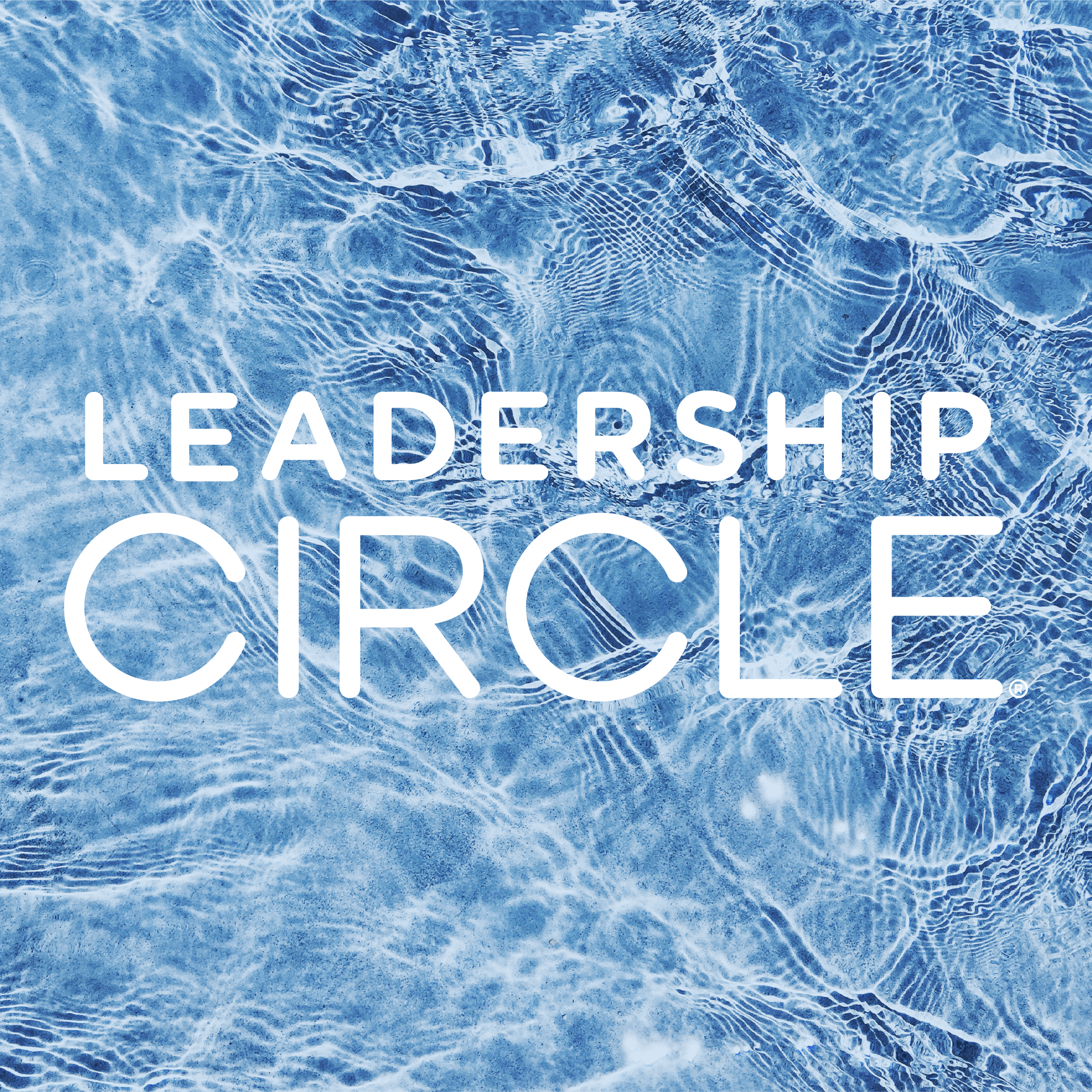 Leadership Circle Raises $20M to Become A Full-Service Leadership Development Platform